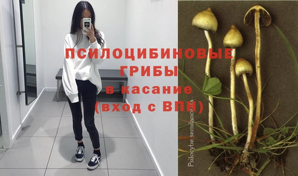 спиды Кулебаки